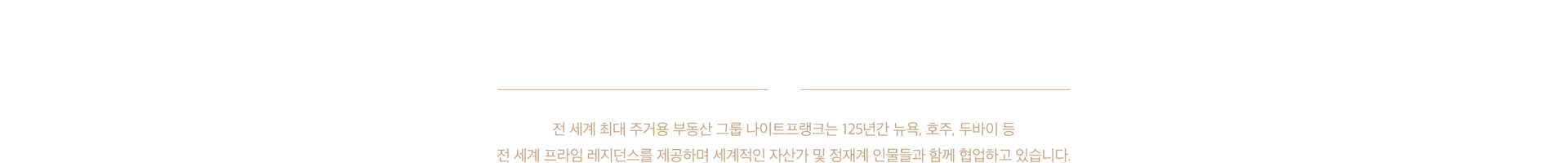 오소리티 23